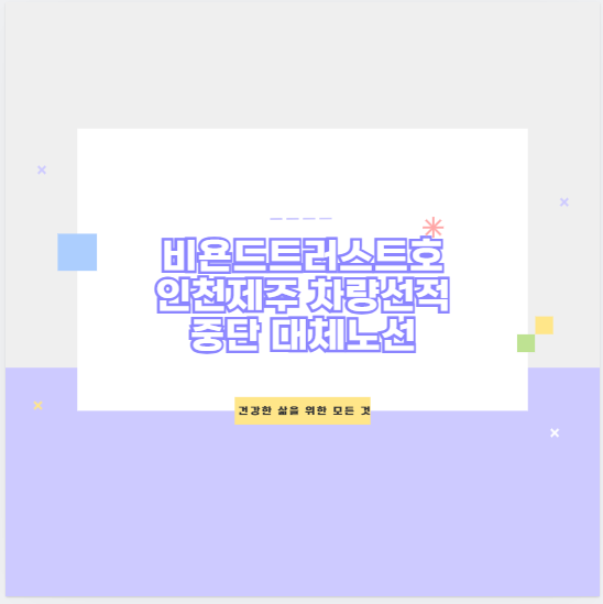 비욘드트러스트호 인천제주 차량선적 중단 대체노선
