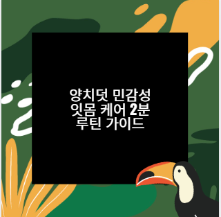 양치덧 민감성 잇몸 케어 2분 루틴 가이드