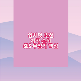 양치덧 추천 치약 순위 SLS 무첨가 핵심