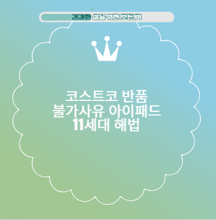 코스트코 반품 불가사유 아이패드 11세대 해법